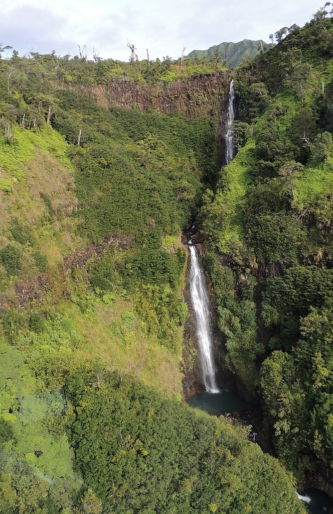 Manawaiopuna Falls waterfall