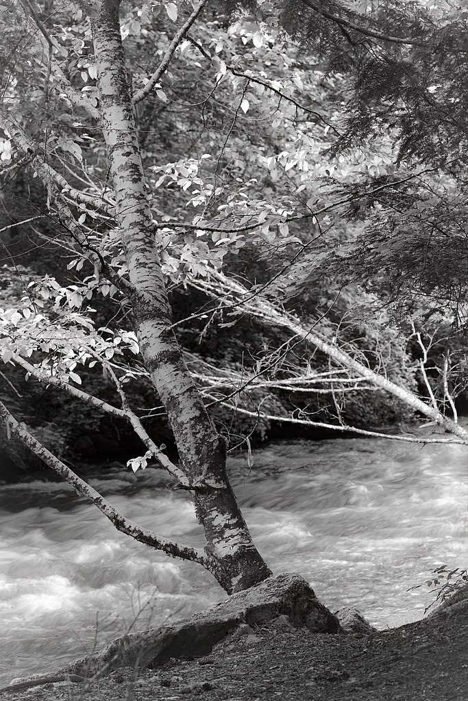 Marion Falls waterfall