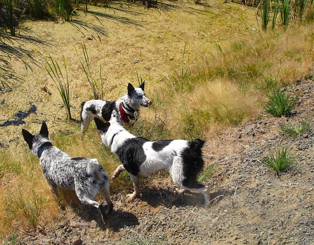 McNabb Falls waterfall
