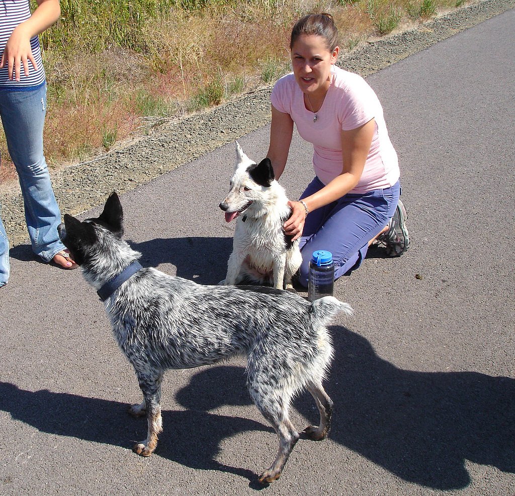 McNabb Falls waterfall