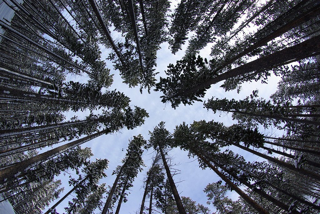 Memorial Falls waterfall