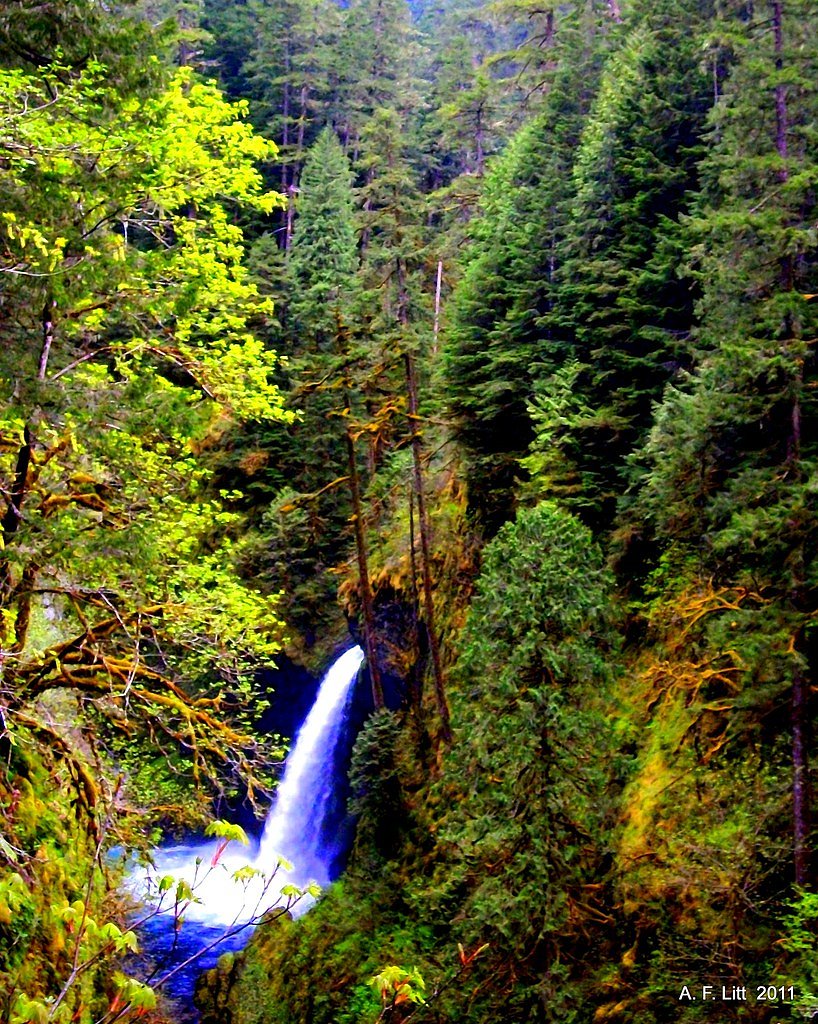 Metlako Falls waterfall