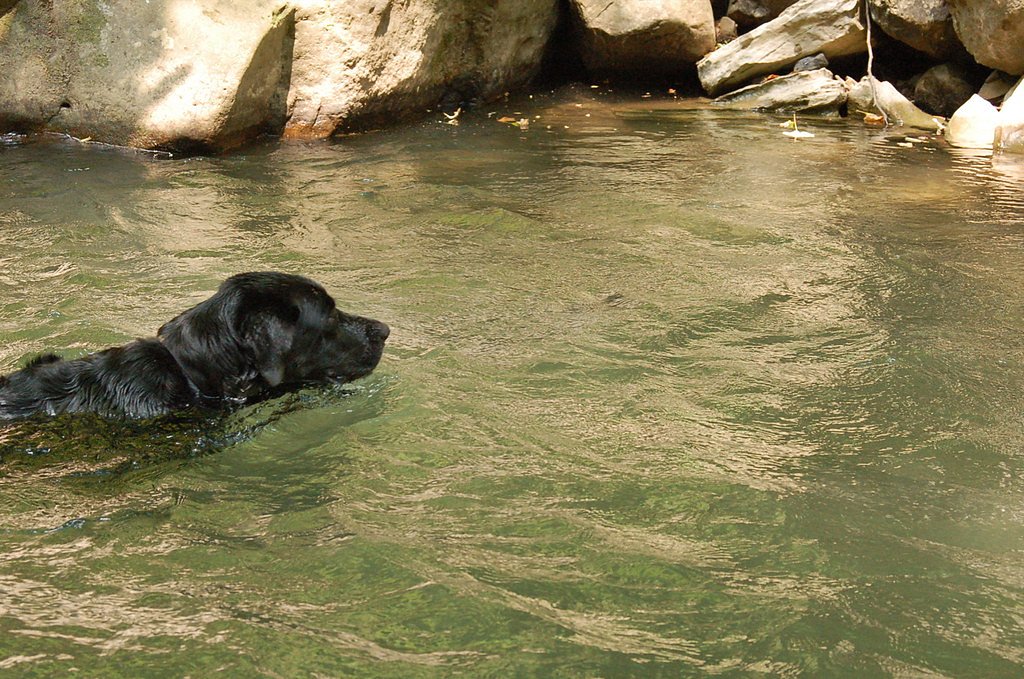 Middle Creek Falls waterfall