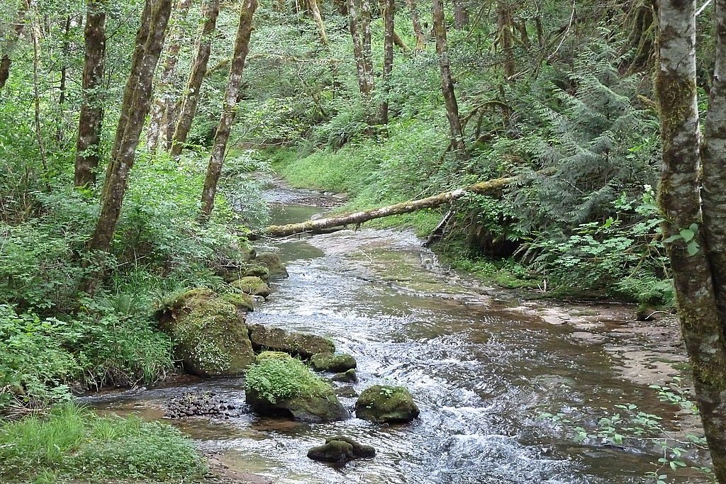Middle Creek Falls waterfall