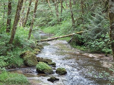 Middle Creek Falls