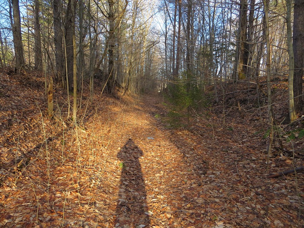 Mill Dam Falls waterfall