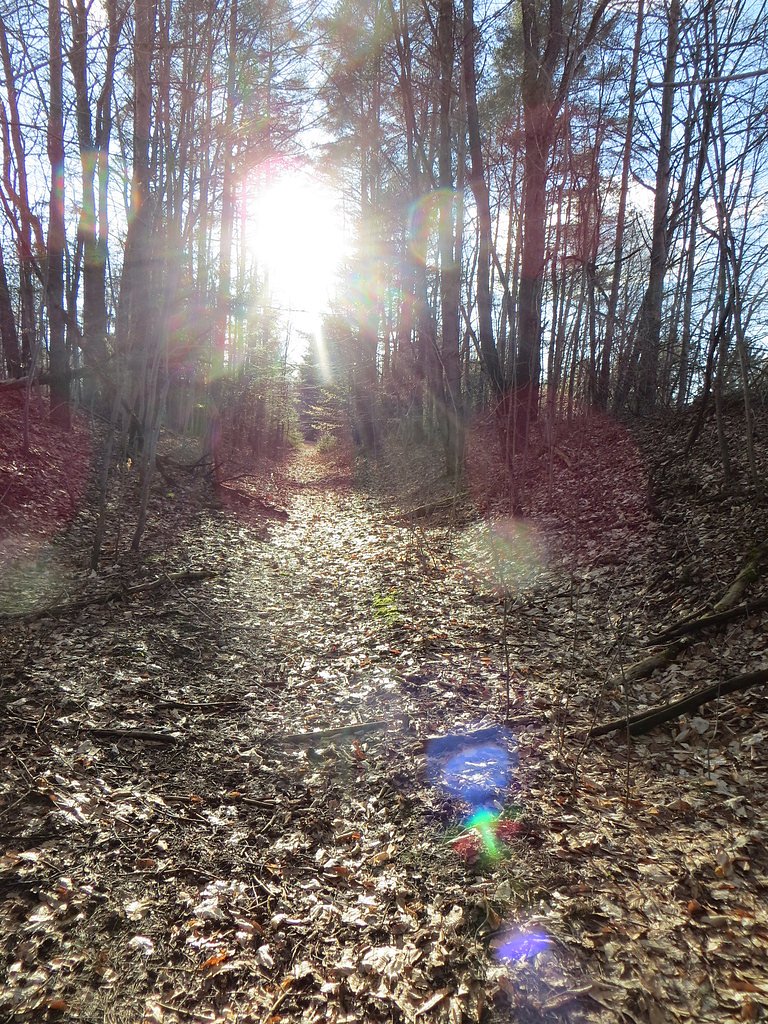 Mill Dam Falls waterfall