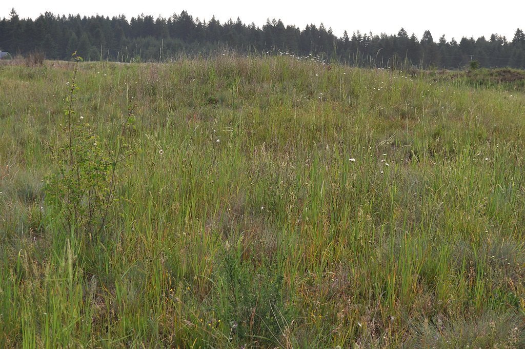 Mima Falls waterfall