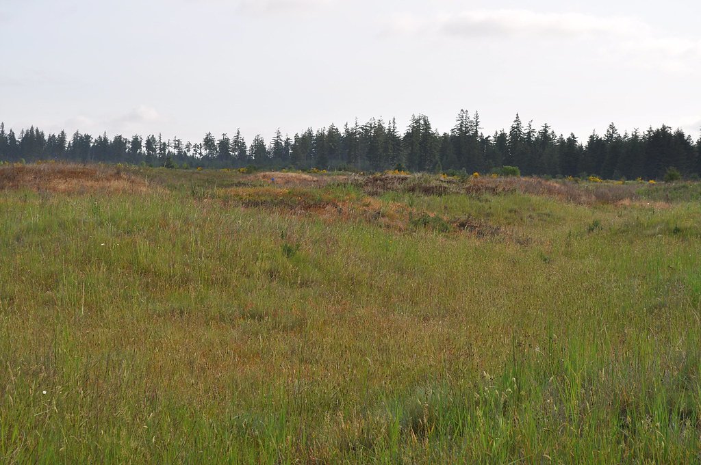 Mima Falls waterfall