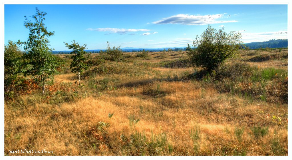 Mima Falls waterfall