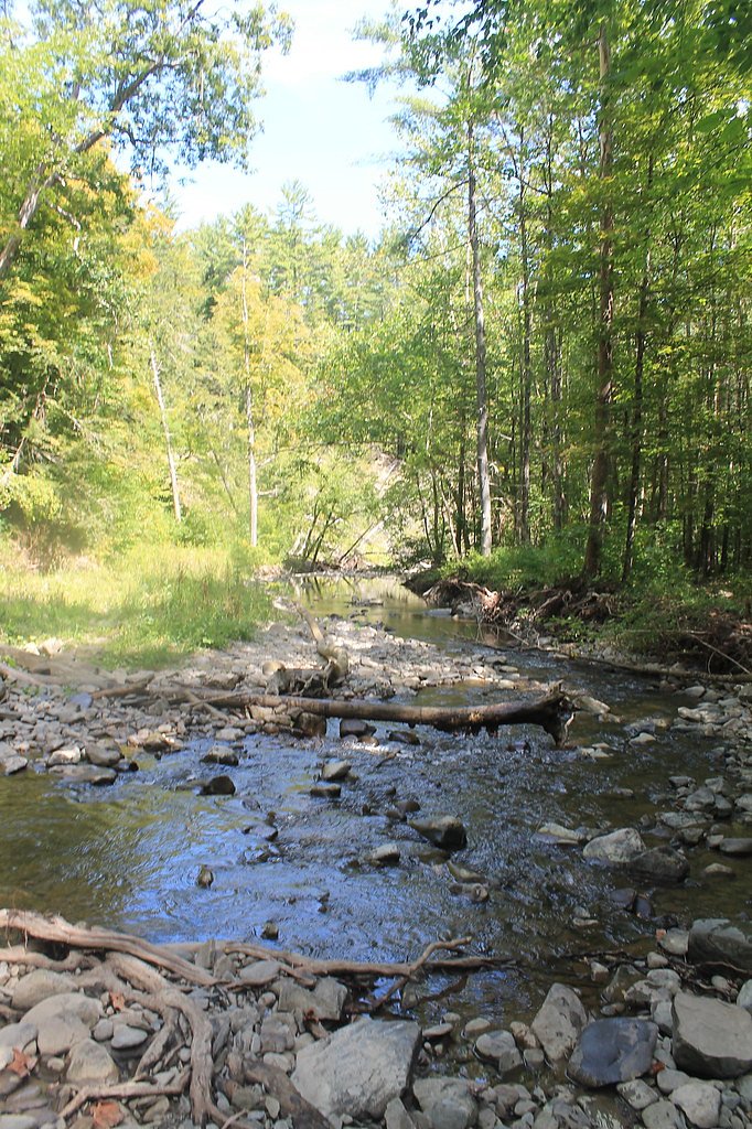 Mine Kill Falls waterfall