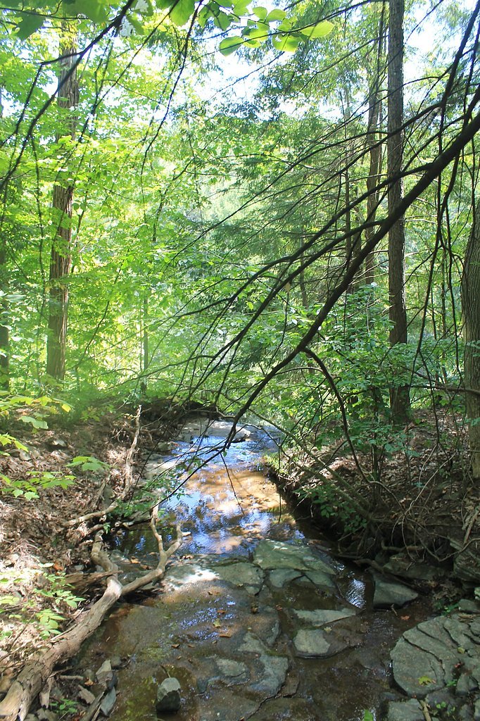 Mine Kill Falls waterfall