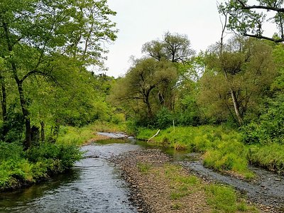 Minnehaha Falls, MN