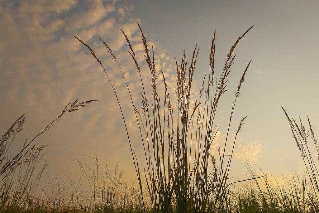 Minnesota Falls waterfall