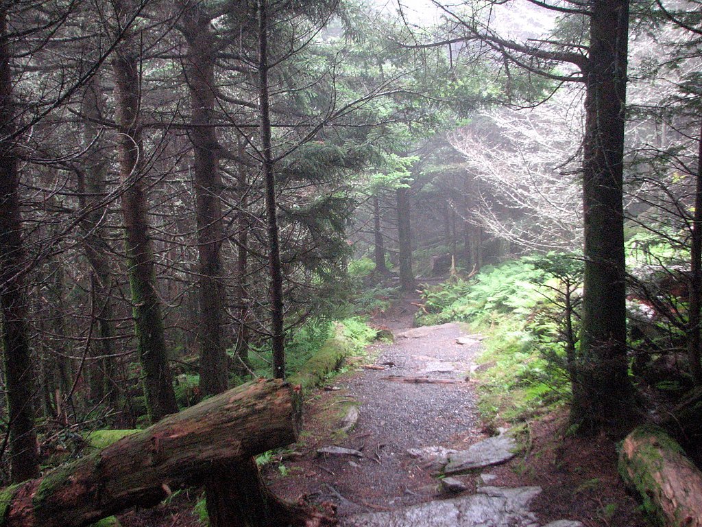 Mitchell Falls waterfall