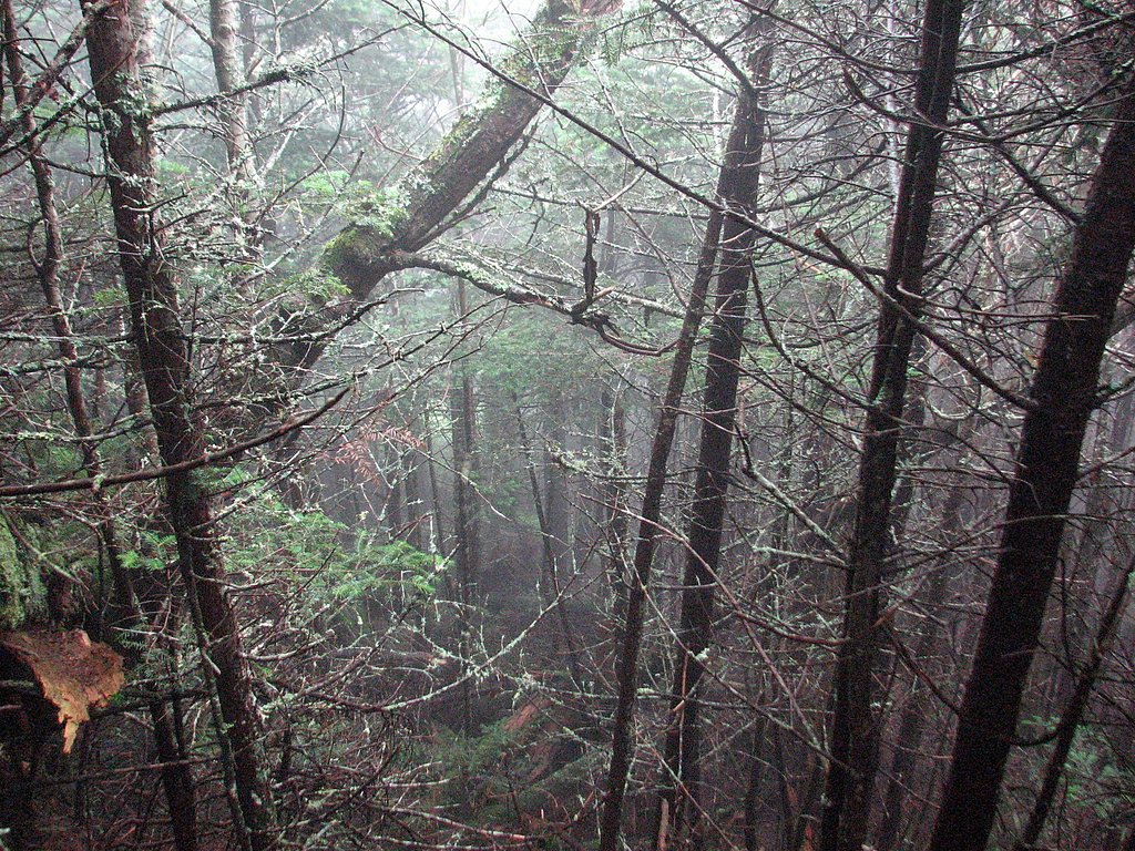 Mitchell Falls waterfall