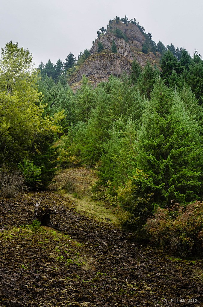 Moffett Falls waterfall