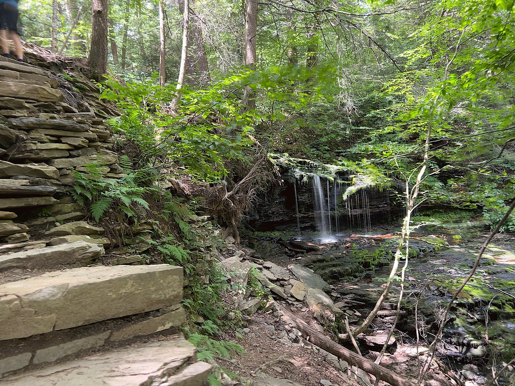 Mohawk Falls waterfall