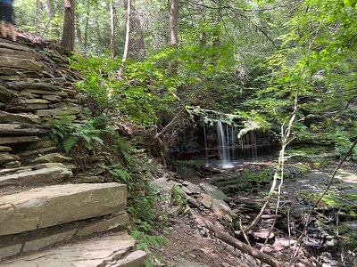 Mohawk Falls, PA