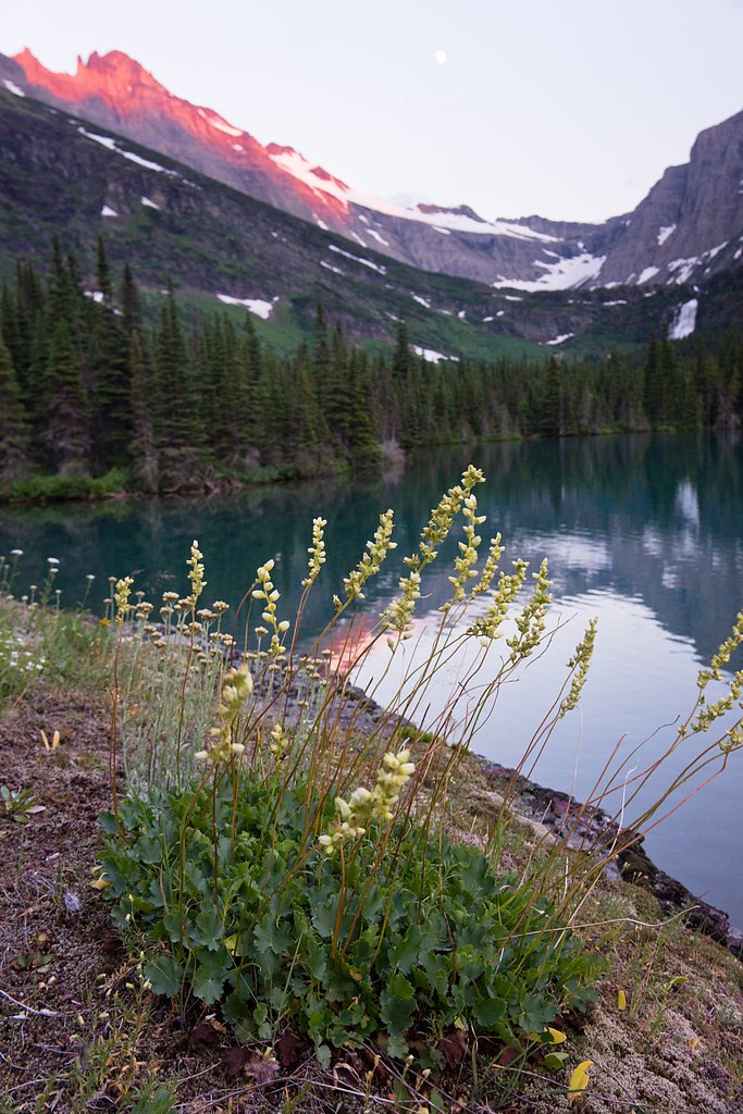 Mokowanis Cascade waterfall