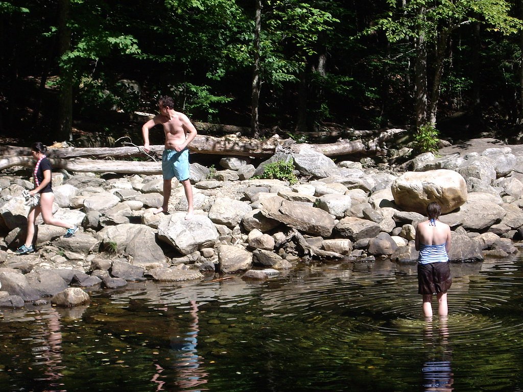 Mollys Falls waterfall