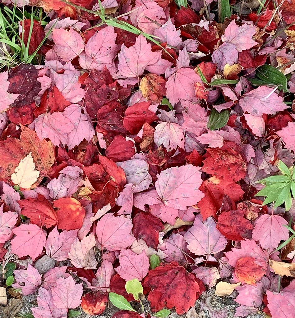 Moretown Falls waterfall