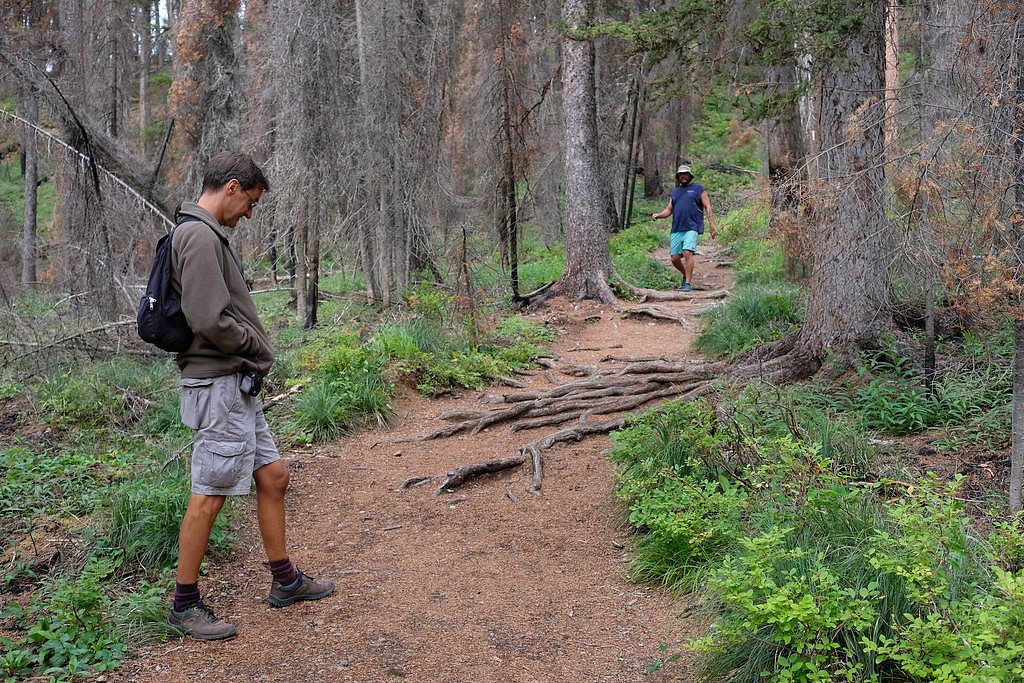 Morrell Falls waterfall