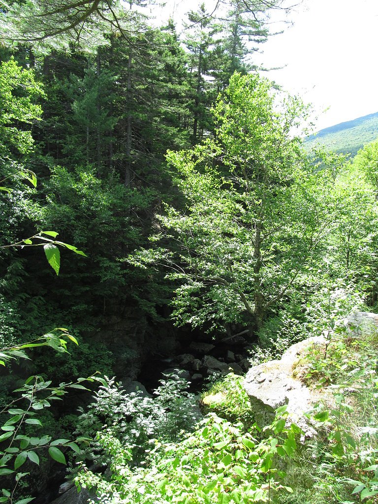 Mother Walker Falls waterfall
