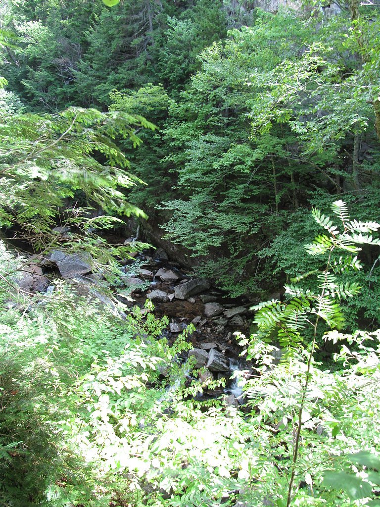 Mother Walker Falls waterfall