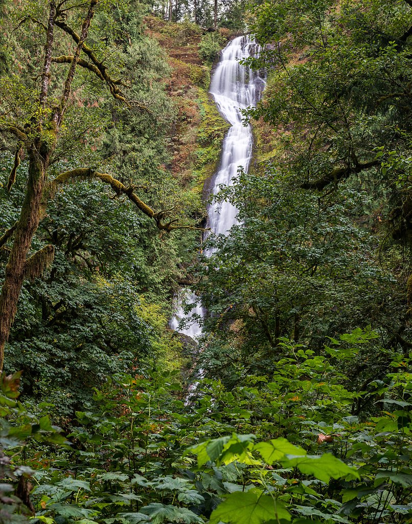 Munson Creek Falls waterfall
