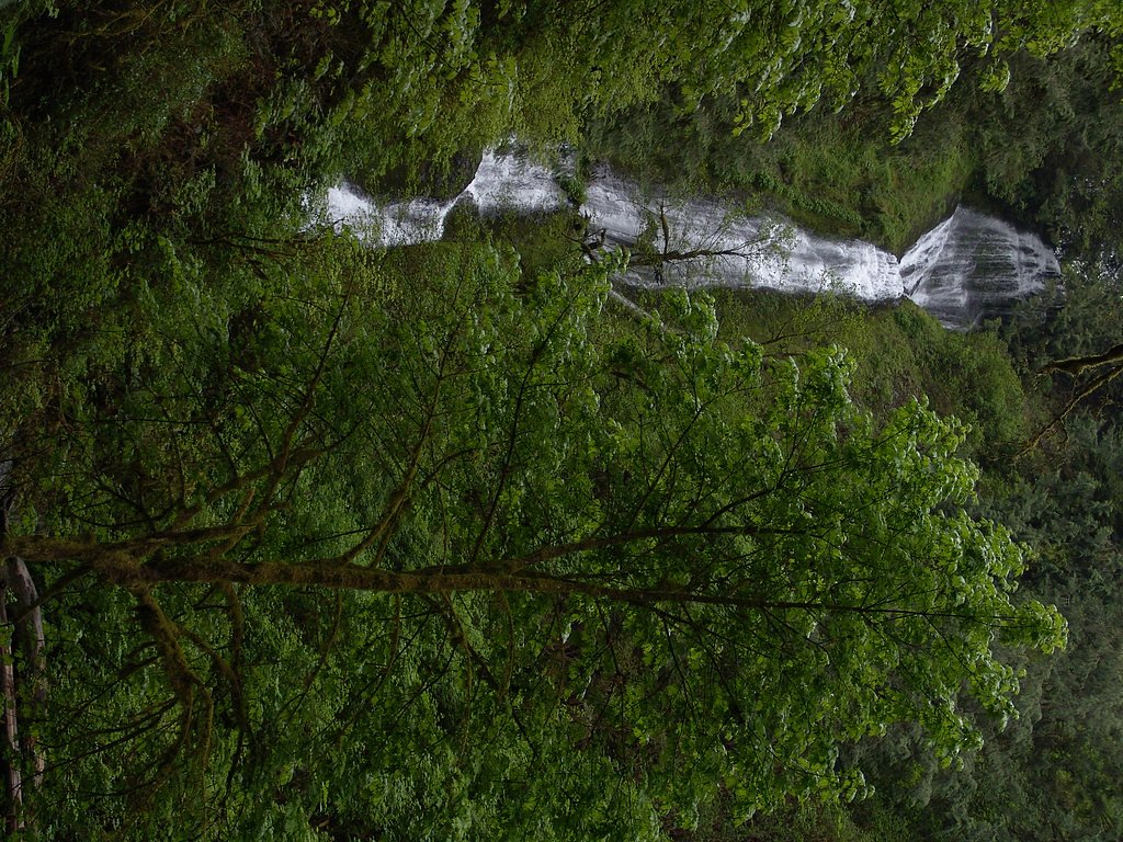 Munson Creek Falls waterfall