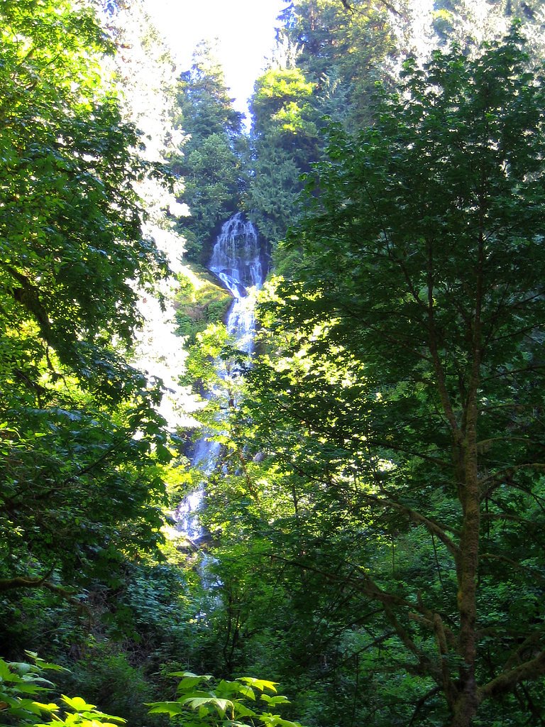 Munson Creek Falls waterfall