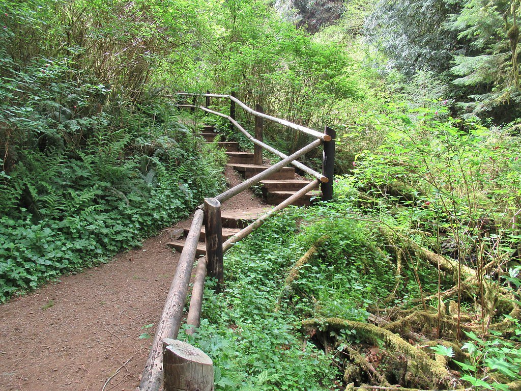 Munson Creek Falls waterfall