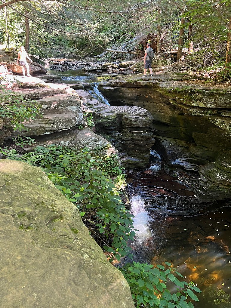 Murray Reynolds Falls waterfall