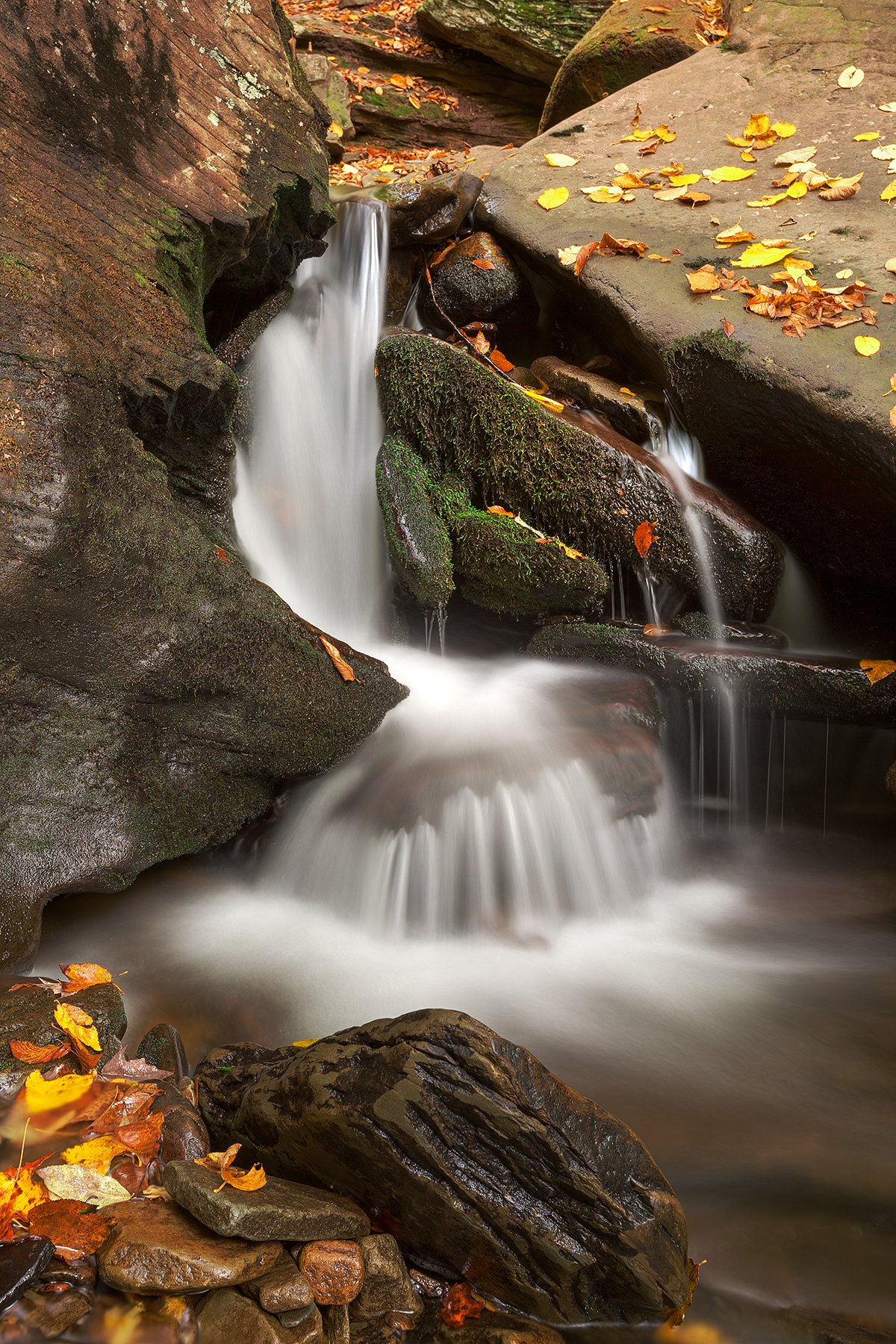 Murray Reynolds Falls waterfall