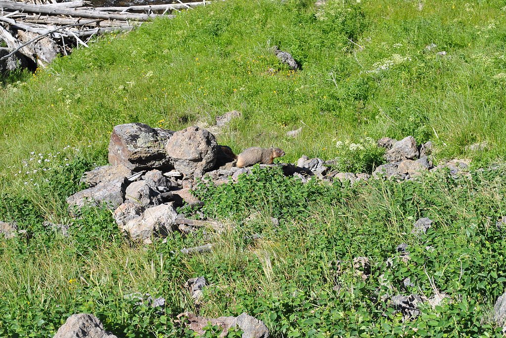 Mystic Falls waterfall