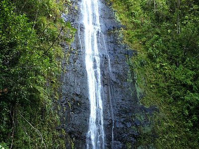 Mānoa Falls