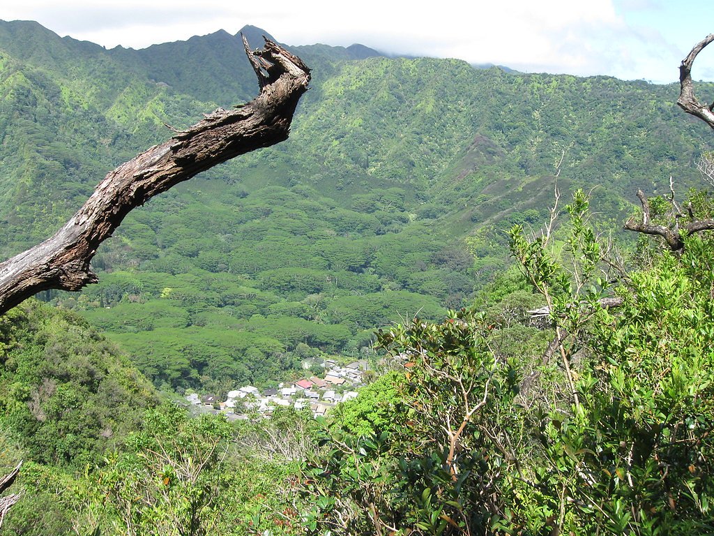 Mānoa Falls waterfall