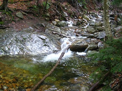 Nancy Cascades, NH