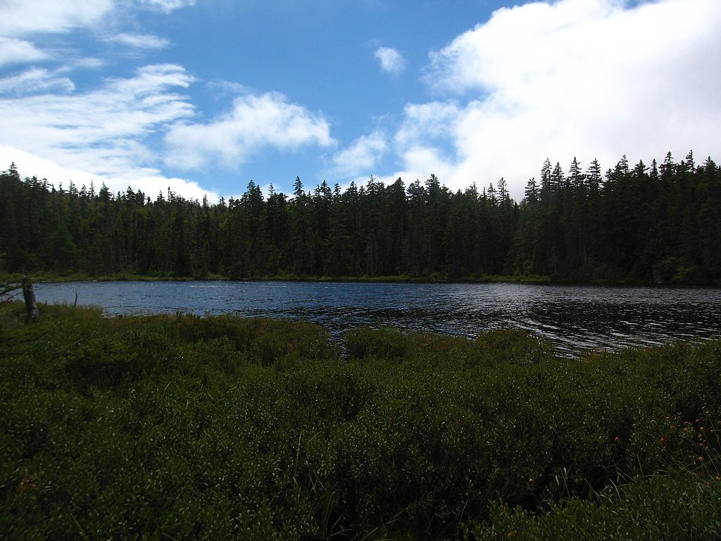 Nancy Cascades waterfall