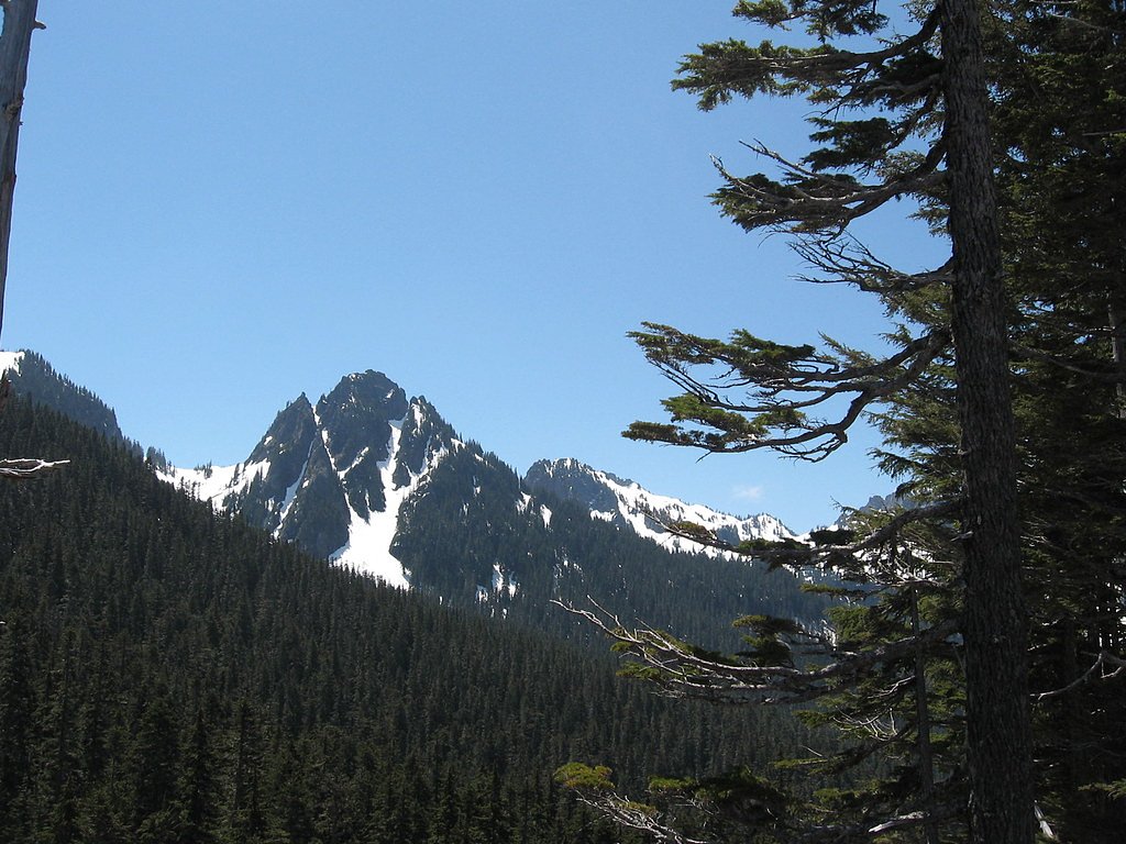 Narada Falls waterfall