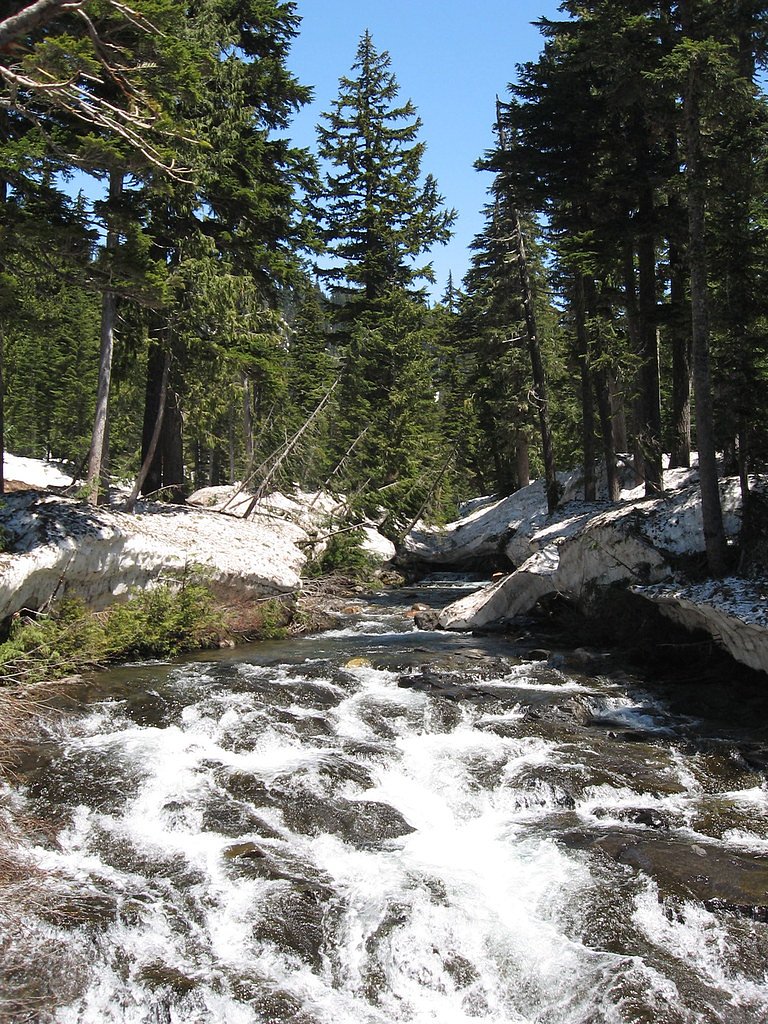 Narada Falls waterfall