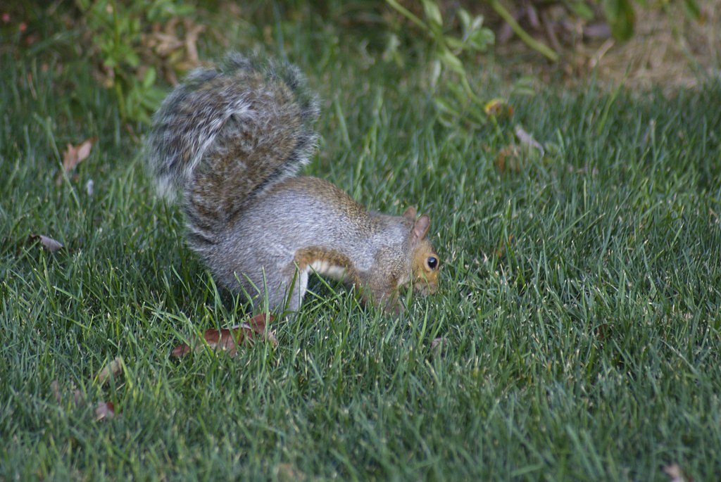 Nay Aug Falls waterfall