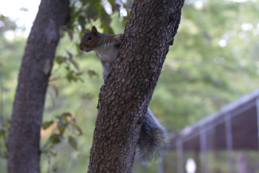 Nay Aug Falls waterfall