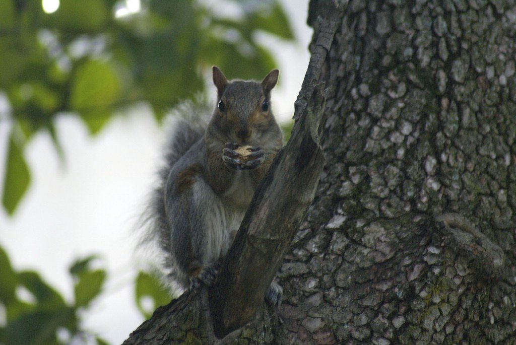 Nay Aug Falls waterfall