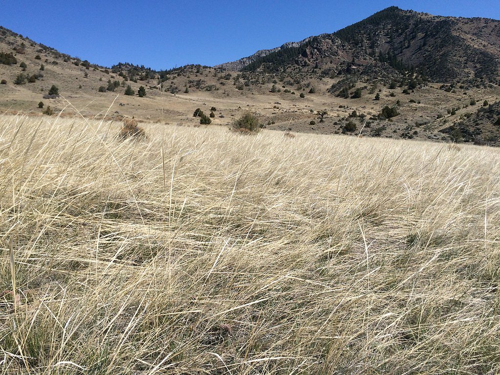 Needle Falls waterfall