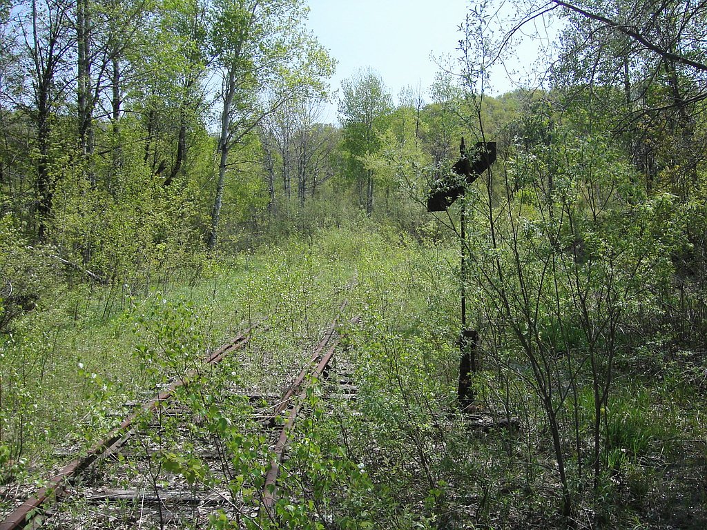 Newton Falls waterfall