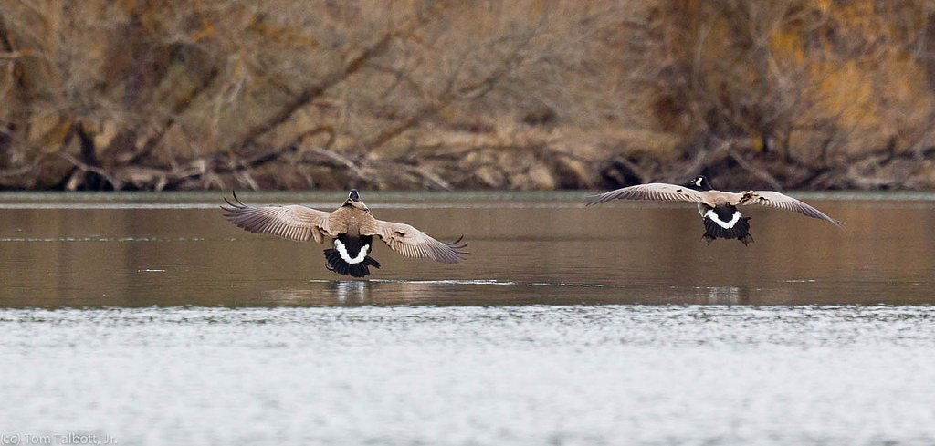 Nine Mile Falls waterfall