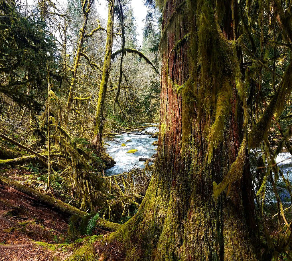 North Fork Falls waterfall