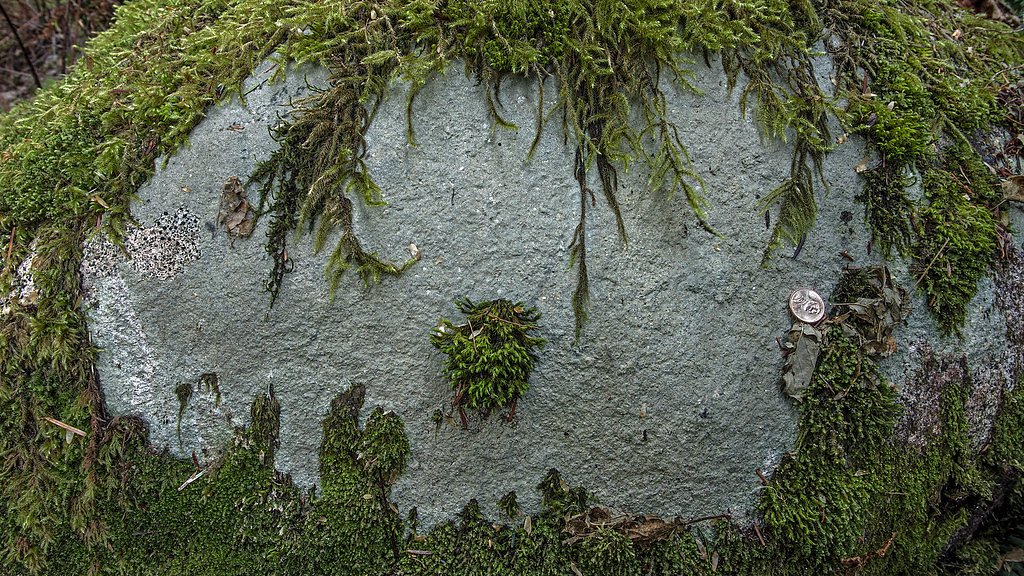 North Fork Falls waterfall